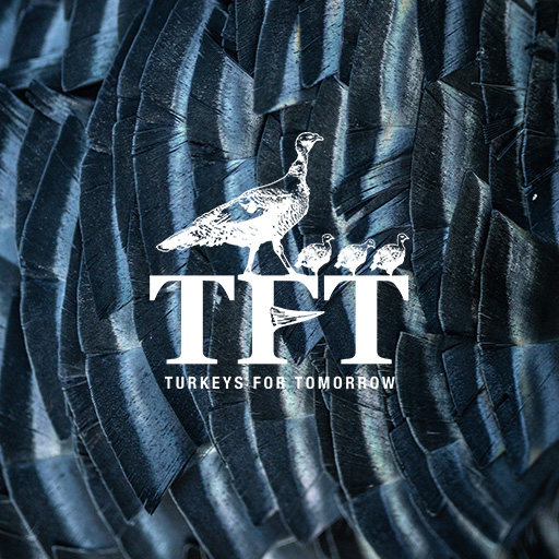 Turkeys For Tomorrow